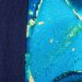 Goga_blue-lagune