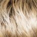 Champagne- Root (22H/22+Root12)