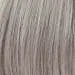 Smoke Silver (GL119)